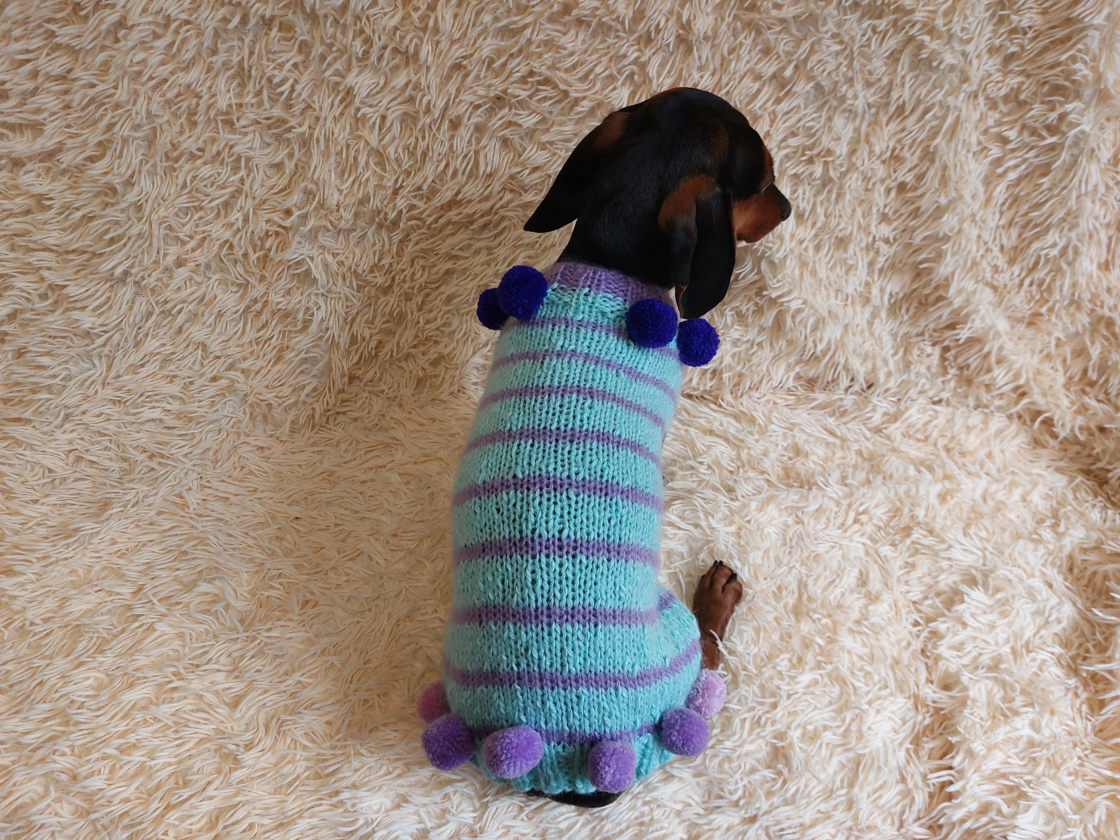 Christmas sweater with pom-poms for mini dachshund or small dog