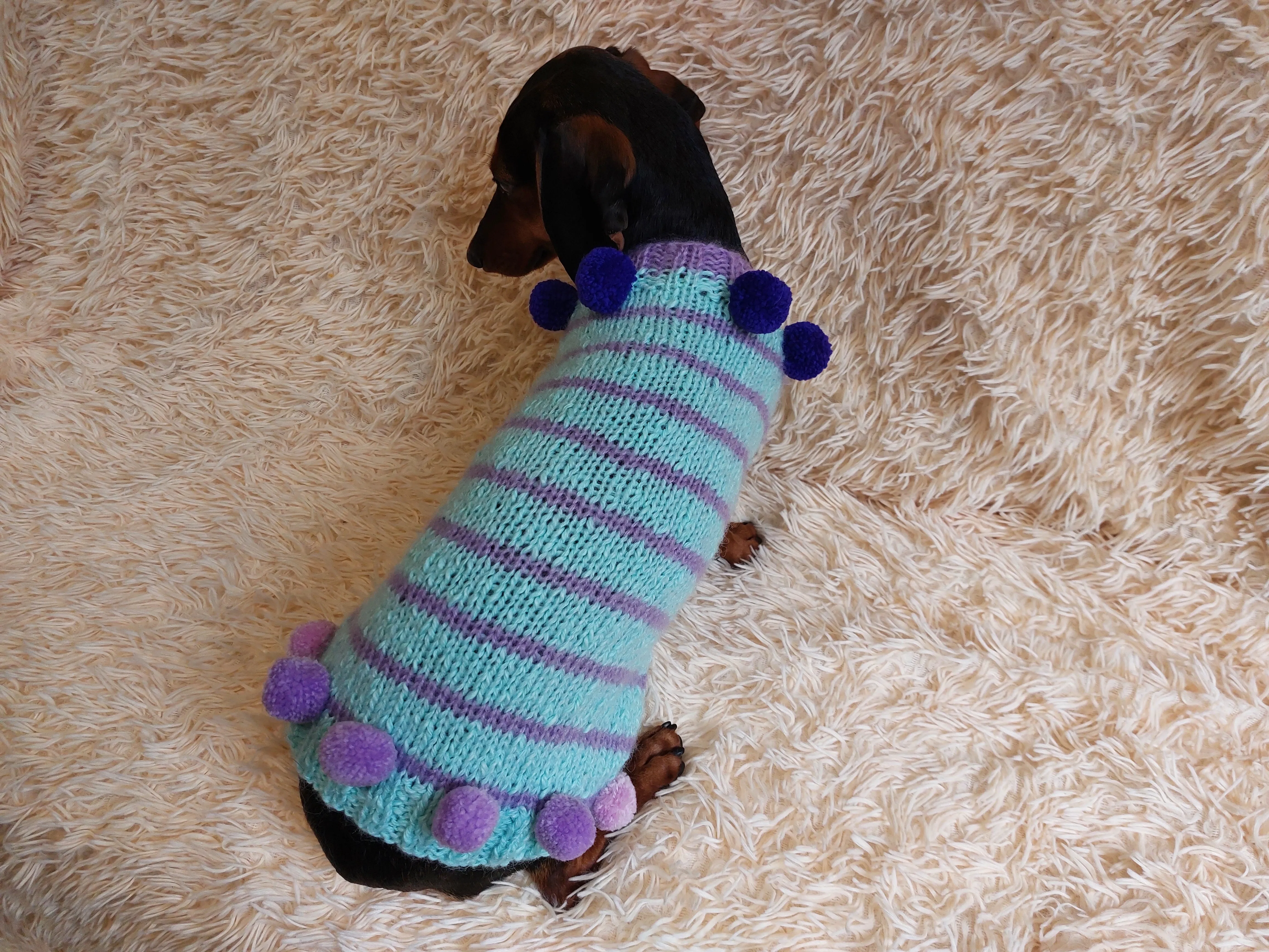 Christmas sweater with pom-poms for mini dachshund or small dog