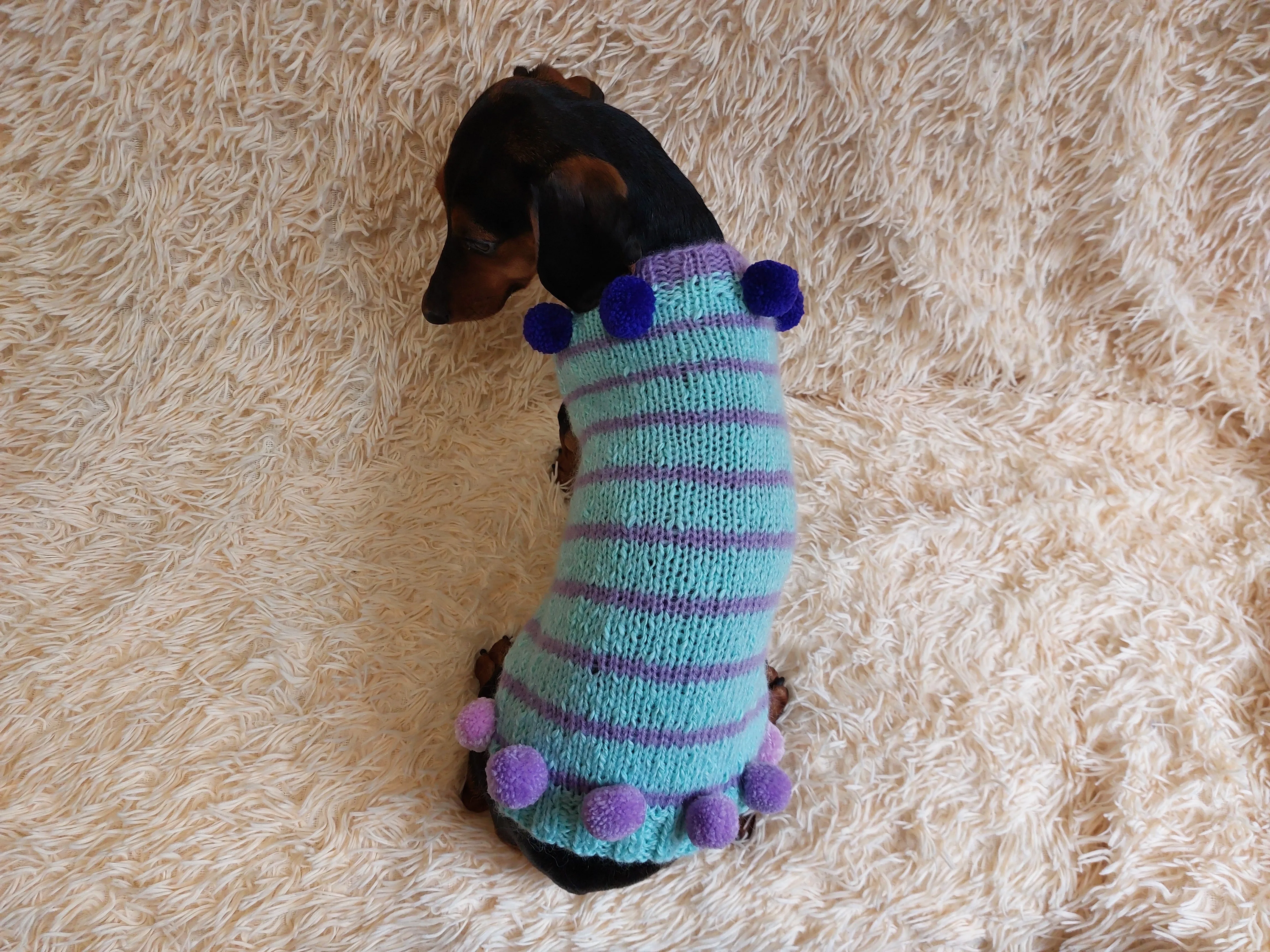 Christmas sweater with pom-poms for mini dachshund or small dog