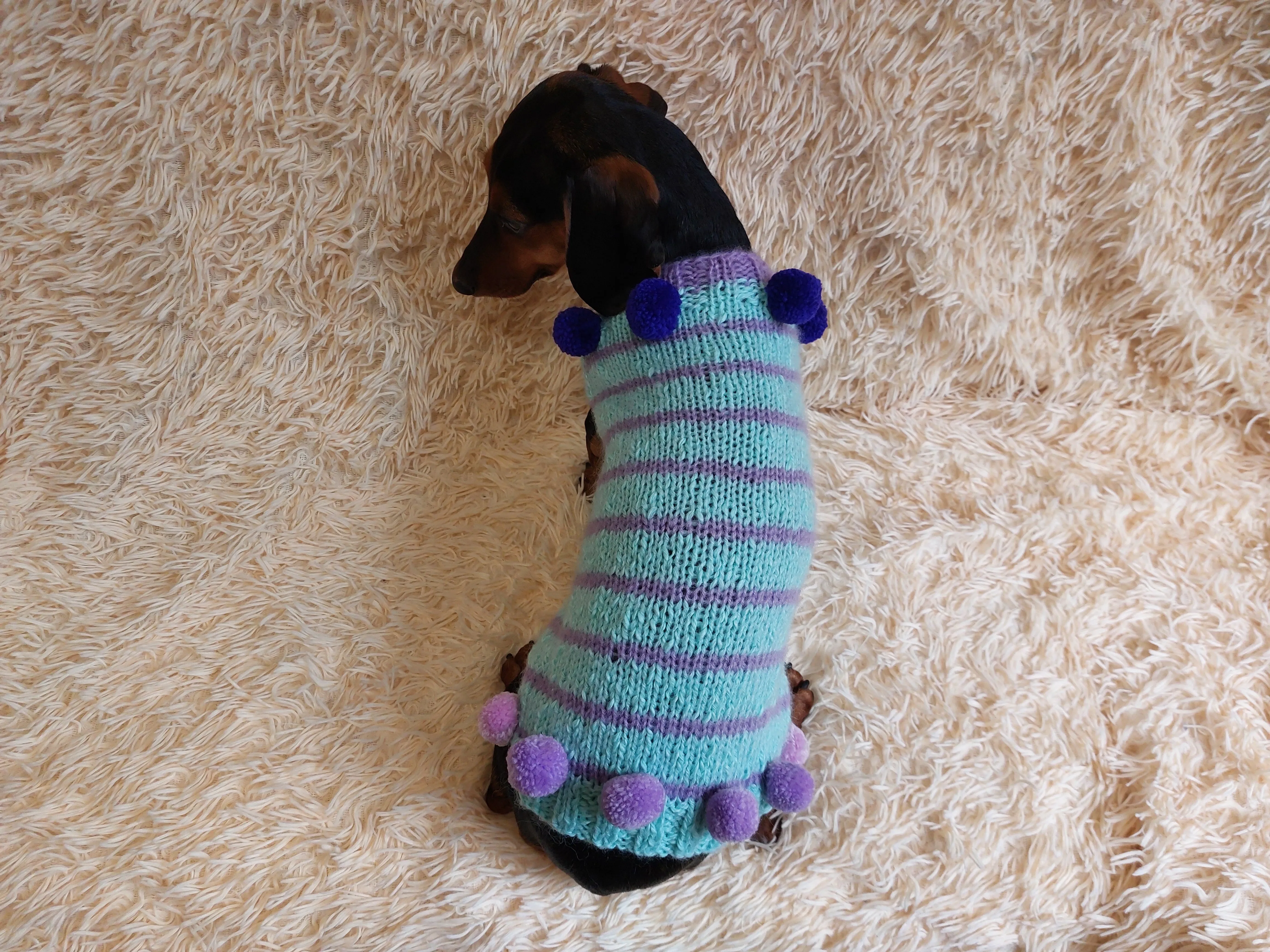 Christmas sweater with pom-poms for mini dachshund or small dog