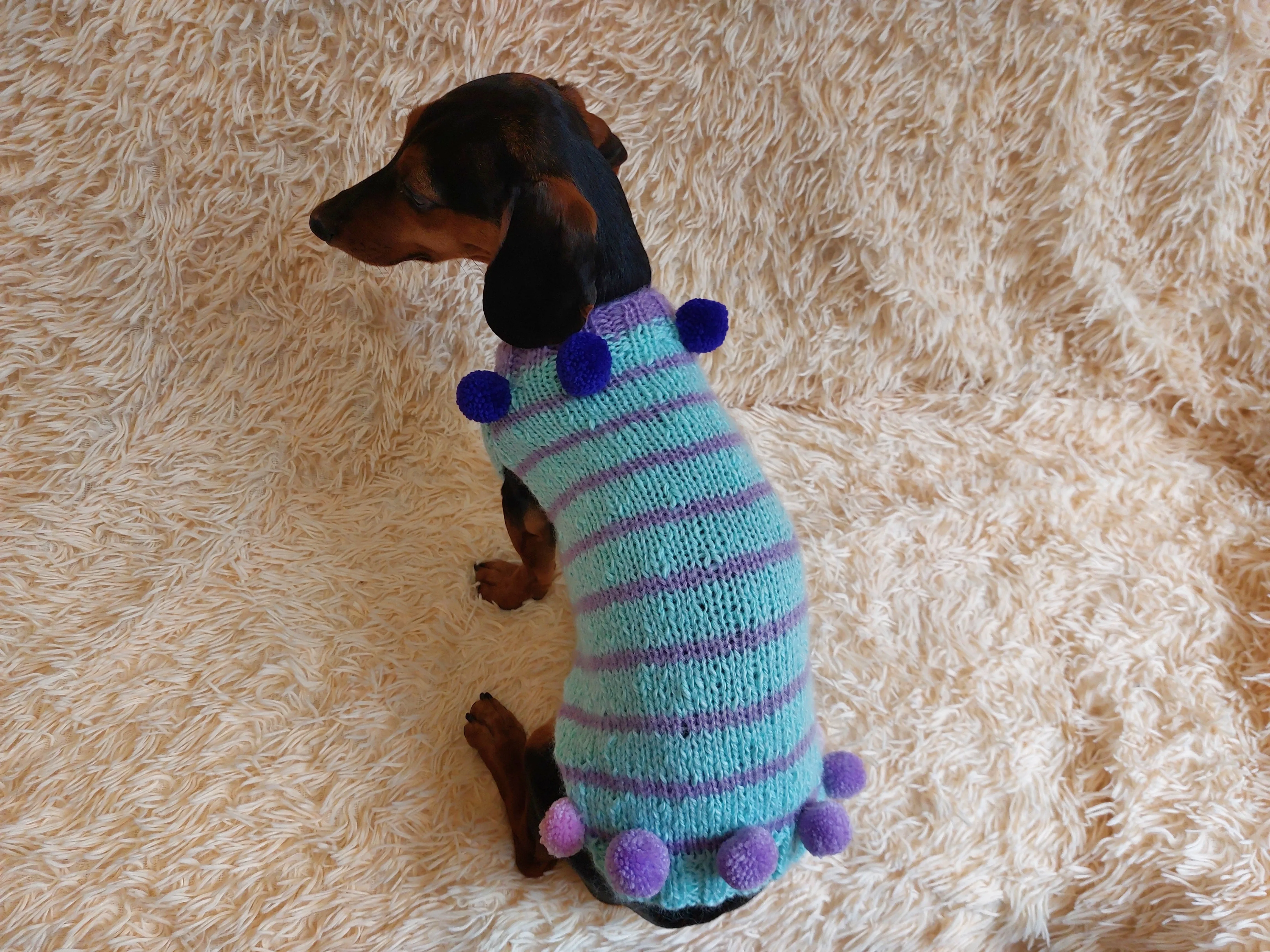 Christmas sweater with pom-poms for mini dachshund or small dog