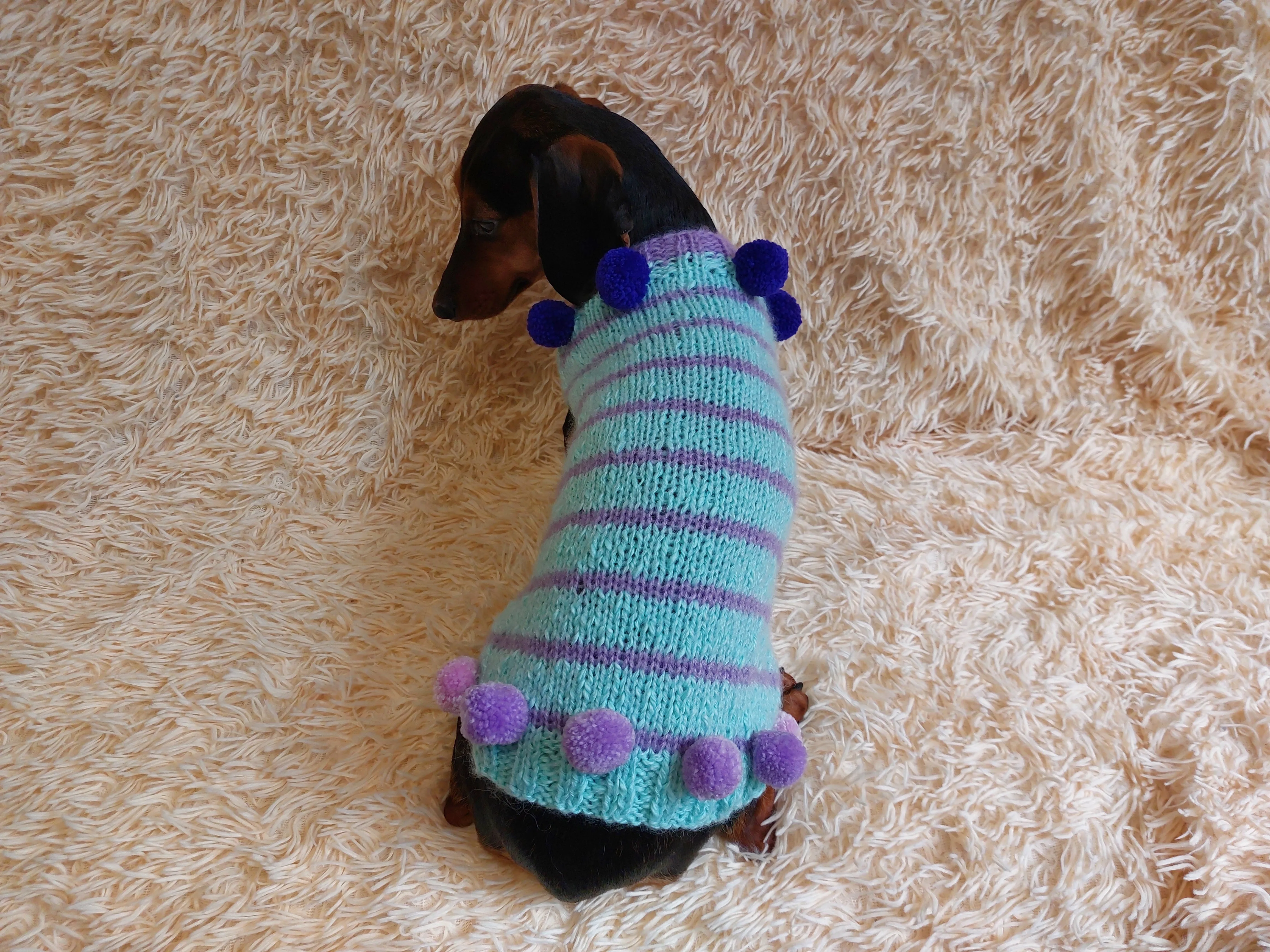 Christmas sweater with pom-poms for mini dachshund or small dog