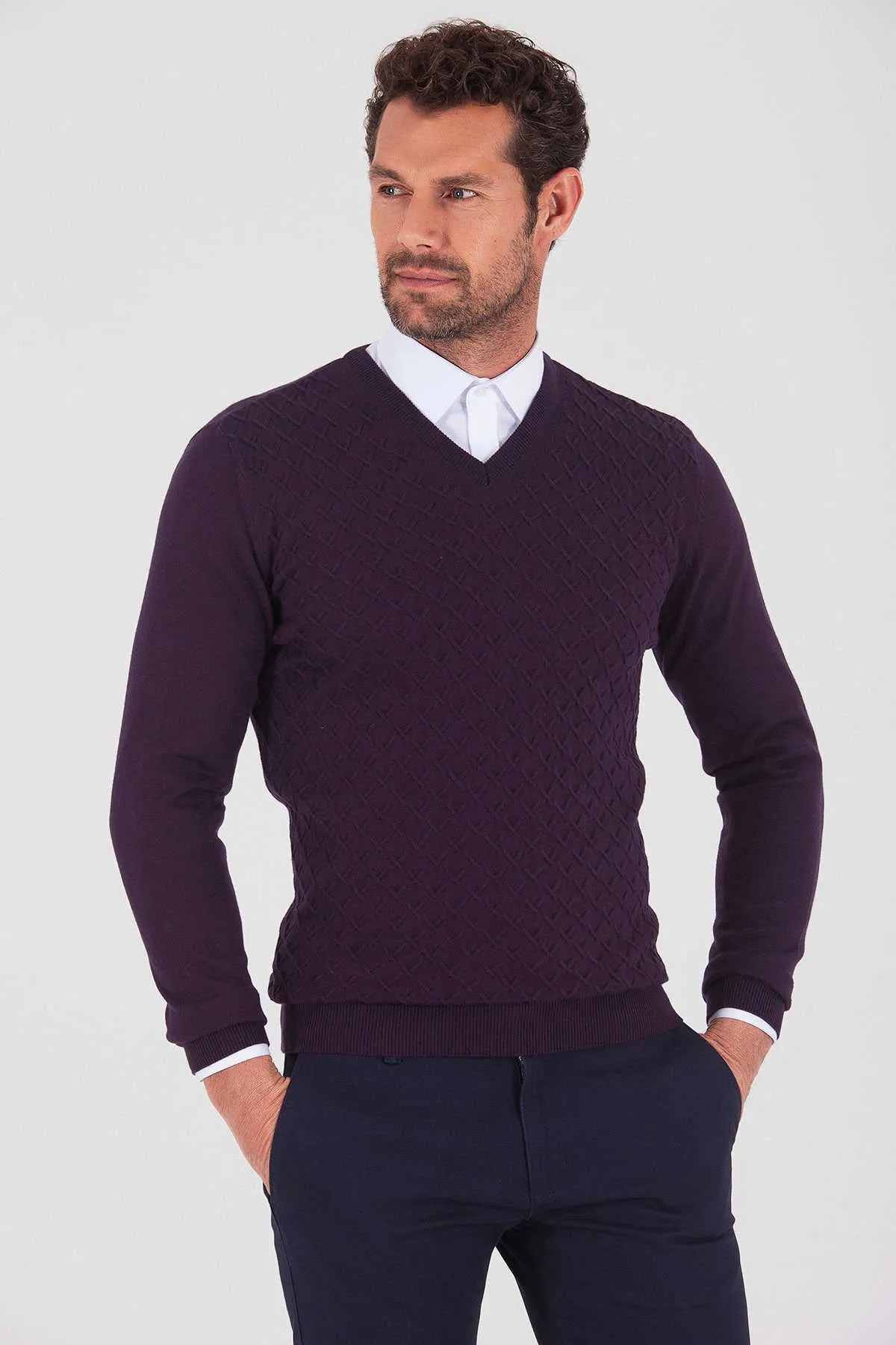 Regular Fit Plain Cotton Blend Khaki V-Neck Sweater, Purple